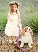 /album/roses-geese/sonoma-lavender-ktmerry-126-copy-jpg2/